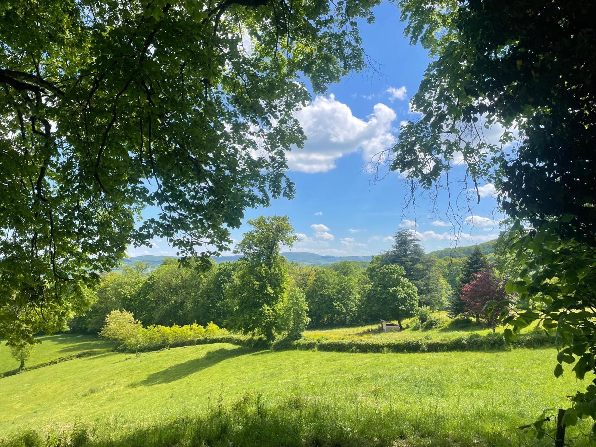 Chateau De Vaux Morvan Etang-sur-Arroux 外观 照片
