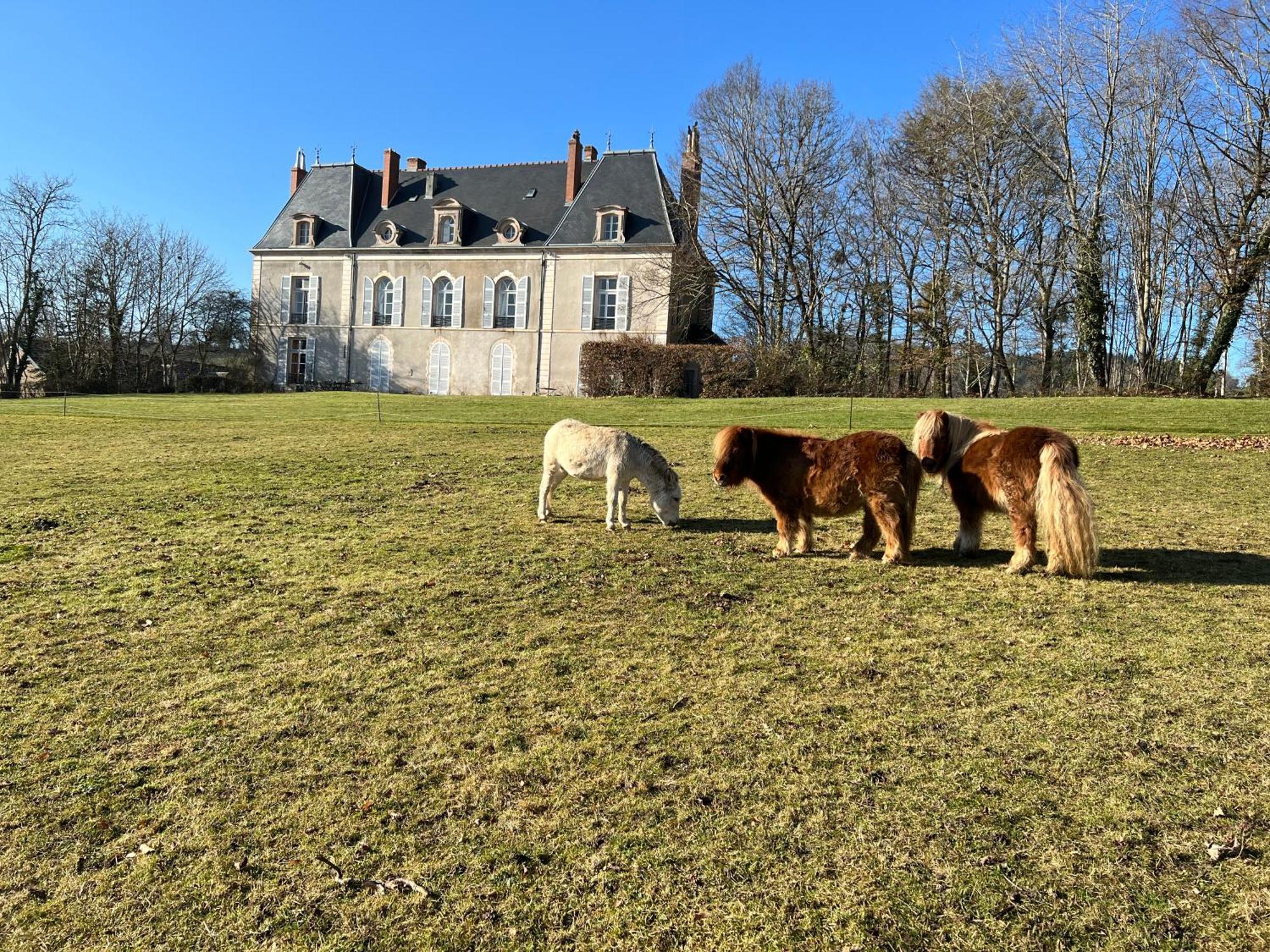 Chateau De Vaux Morvan Etang-sur-Arroux 外观 照片